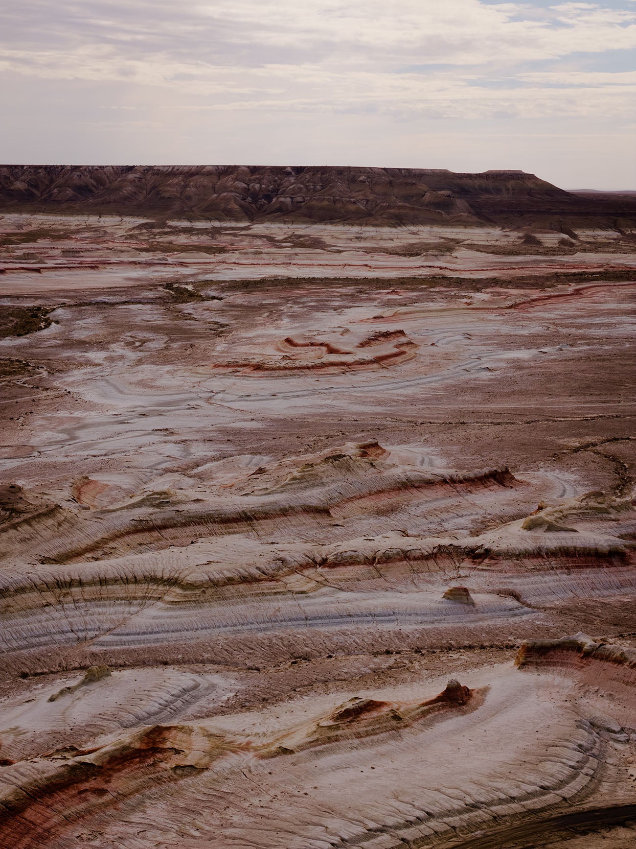 A wide landscape photograph of a barren, layered desert terrain in kazakhstan with pale pink, beige, and reddish rock formations under a cloudy sky.