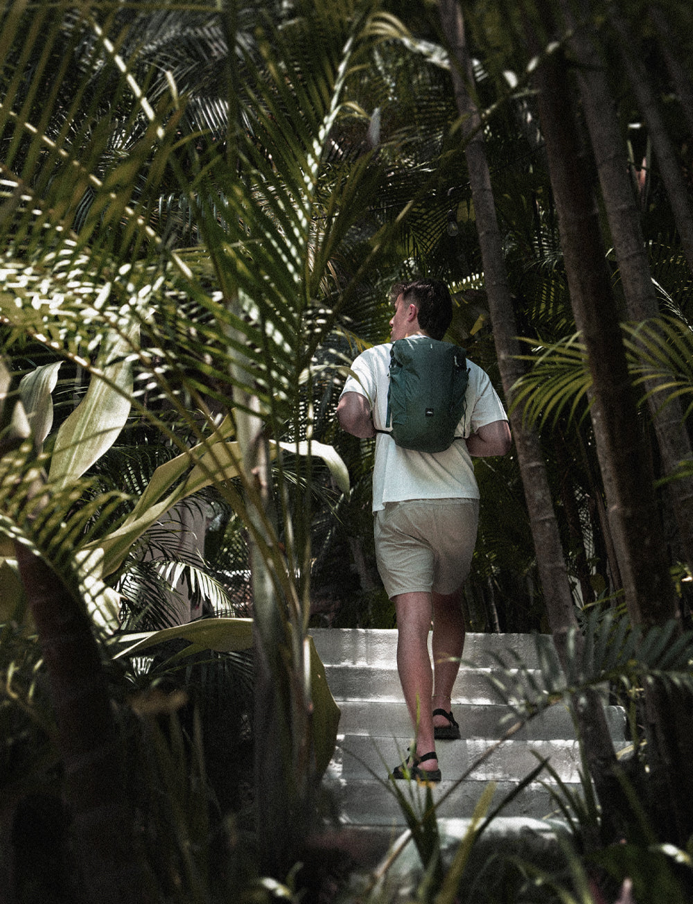 person wearing green backpack, walking through thick jungle foliage 