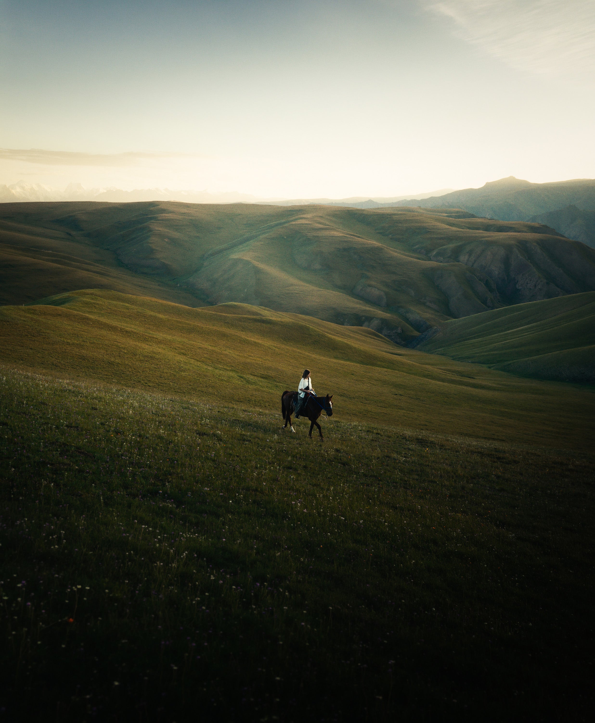 A wide landscape photograph of rolling green hills in Kyrgyzstan under a pale sky, with a small rider on horseback on a local guide tour.